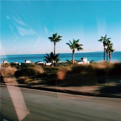 水果大战害虫无敌版