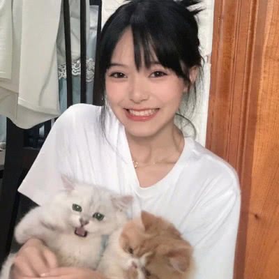 商业帝国3中文无敌版