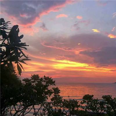 葫芦岛房地产超市网