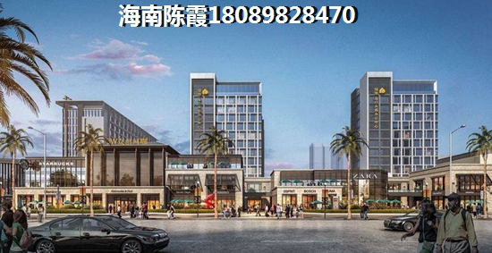 嘉和广场 一居  户型图